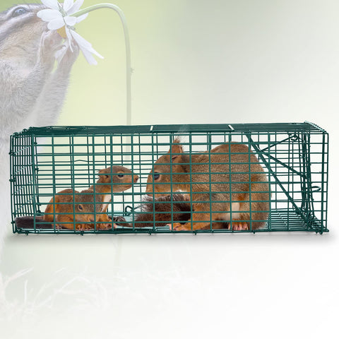 Humane release design keeps animal safe during release.