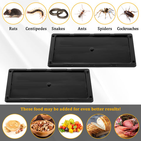 Qualirey indoor glue trap plastic board image emphasizes safe placement.