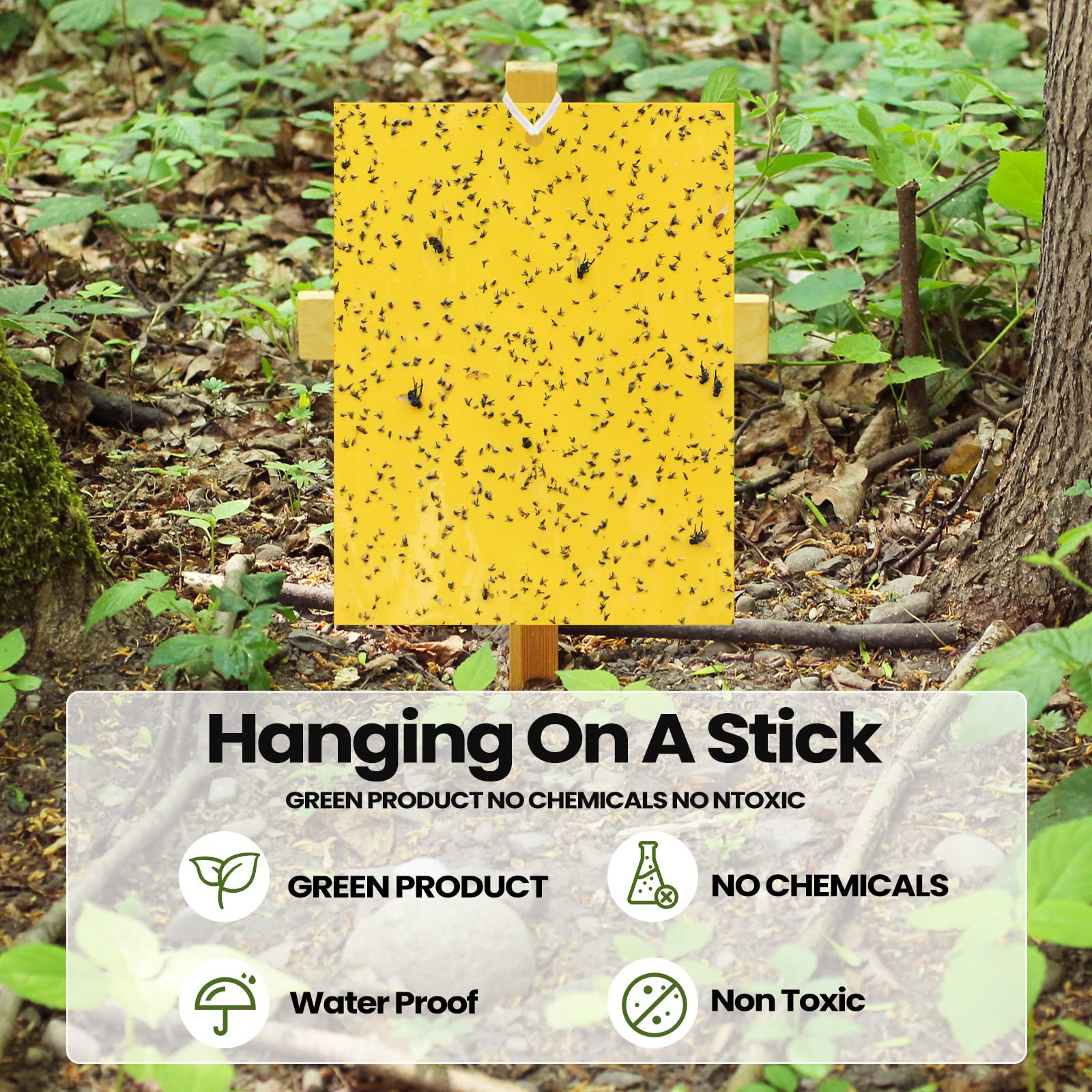 Qualirey yellow pest traps ideal for fruit flies and gnats.