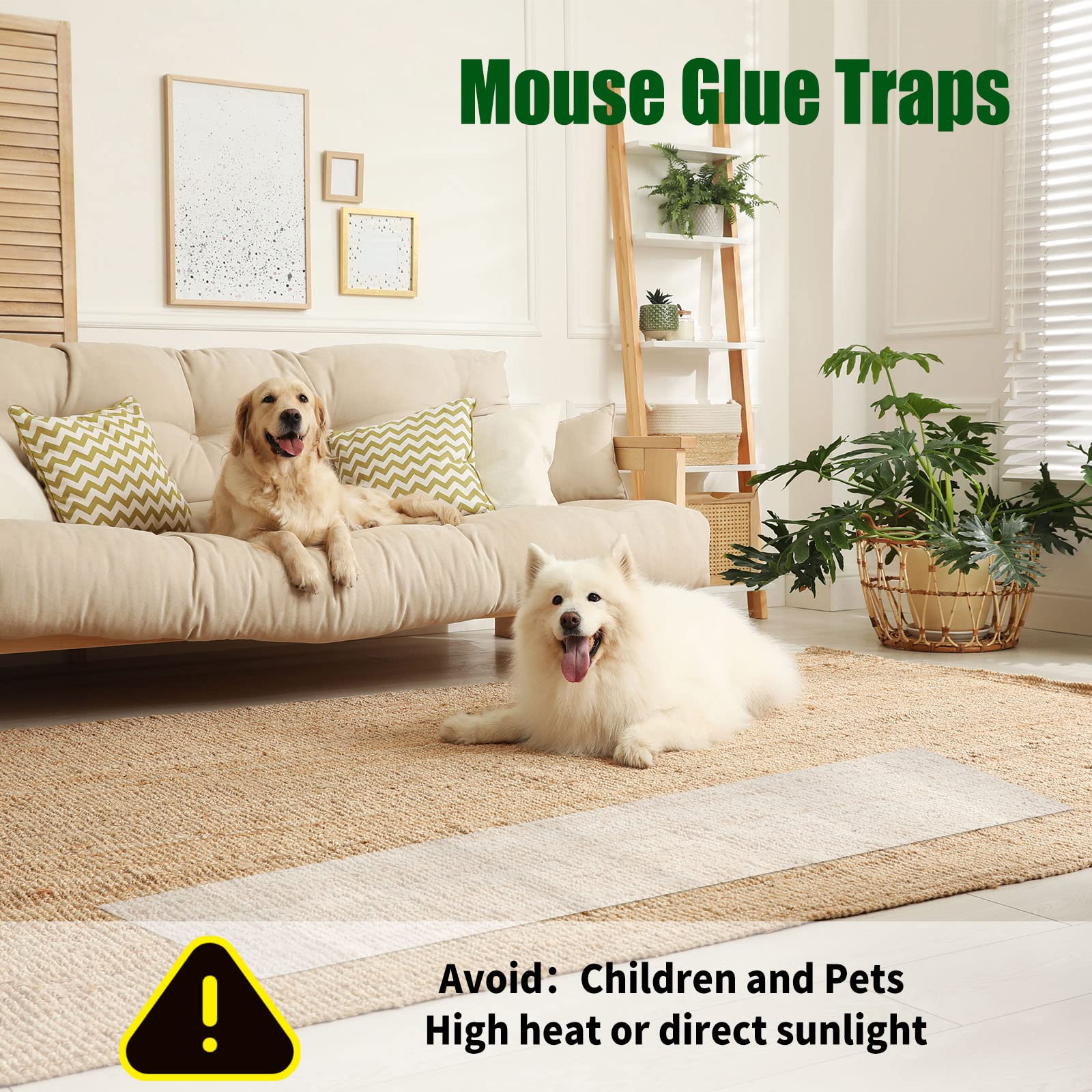 Qualirey indoor-outdoor pest traps placement near kitchens and garages