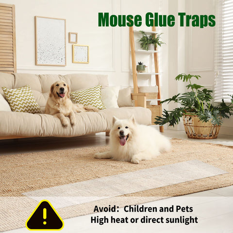 Qualirey indoor-outdoor pest traps placement near kitchens and garages