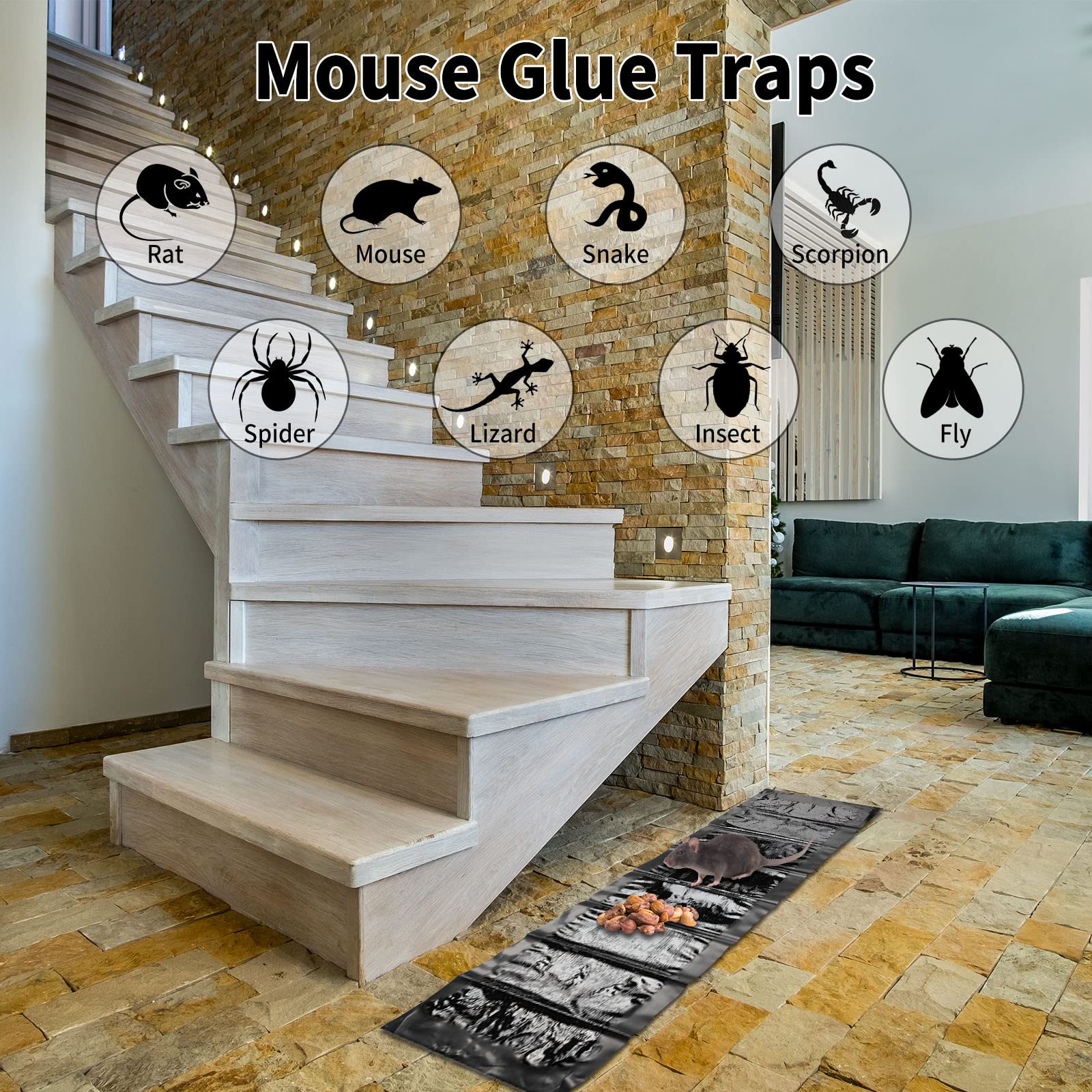 Qualirey indoor-outdoor sticky trap for safe pest control.