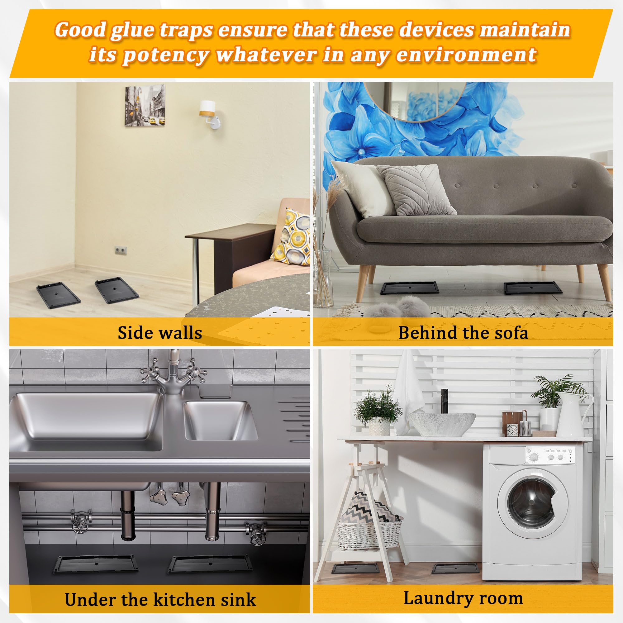 Qualirey kid-friendly glue traps demonstrate non-toxic adhesive.