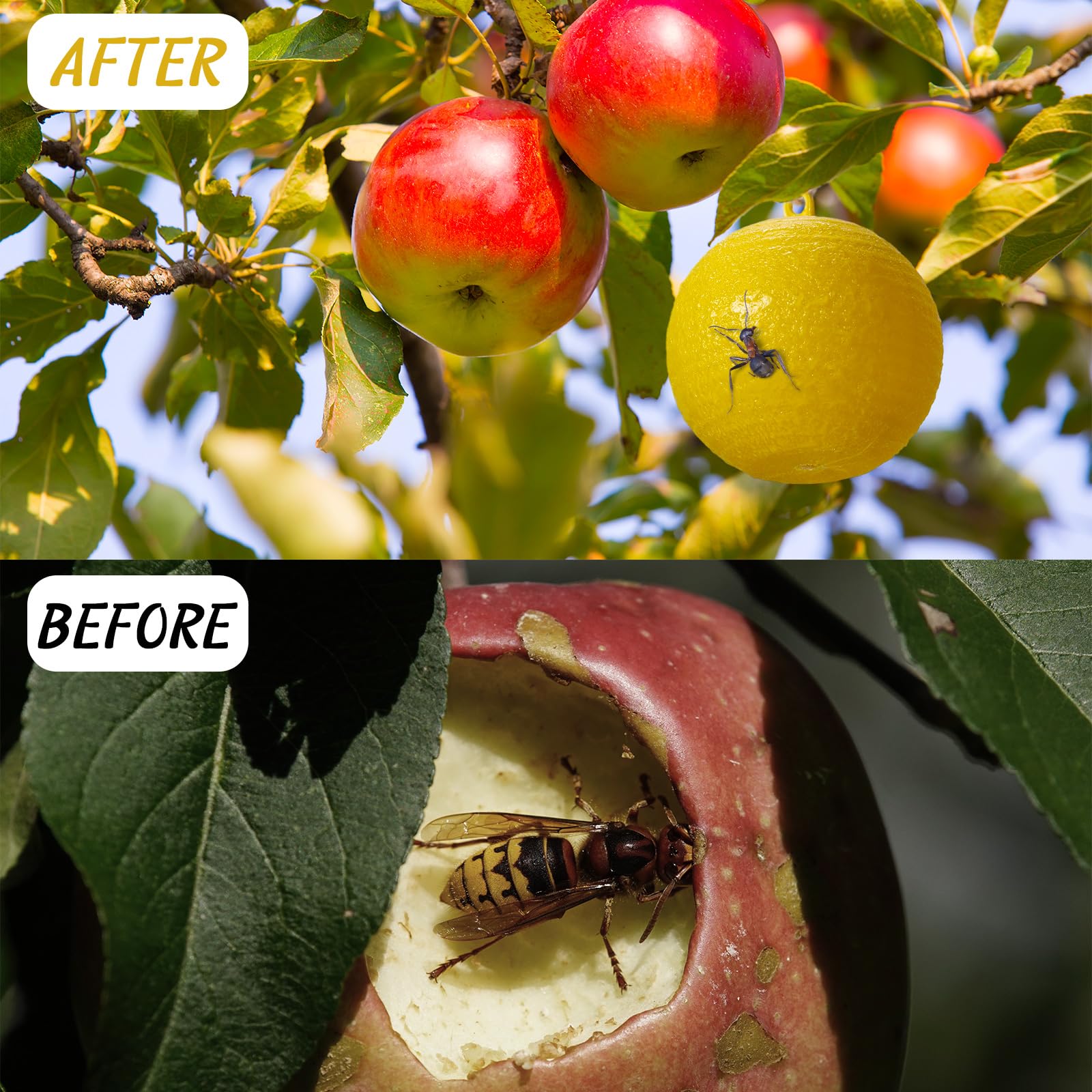 Qualirey kitchen-garden-fly-trap-ball-yellow ideal for kitchens and patios.