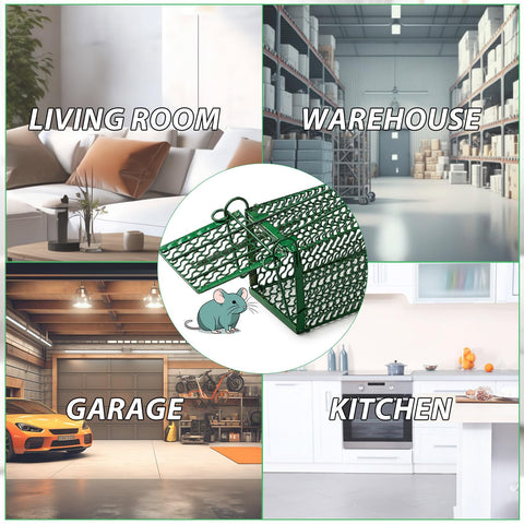 Qualirey kitchen-ready catch-and-release trap, reusable and easy to reset.