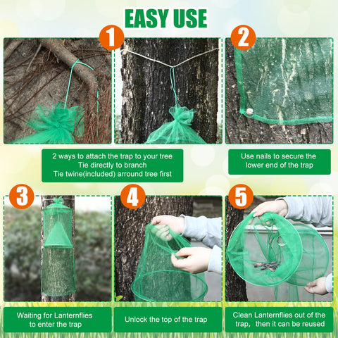Qualirey lanternfly trap hanging setup: easy to install with rope included.