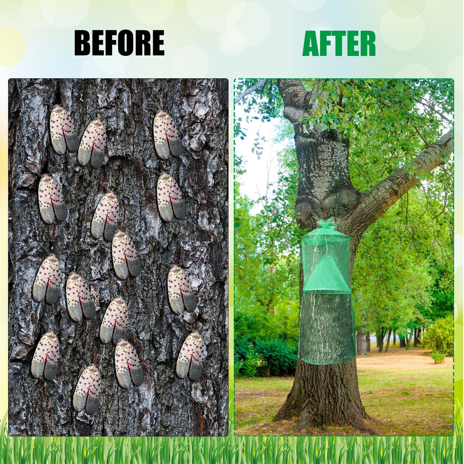 Qualirey lanternfly trap materials: polyester and iron ensure durability in varying weather.
