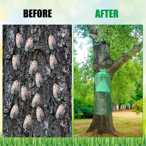 Qualirey lanternfly trap materials: polyester and iron ensure durability in varying weather.