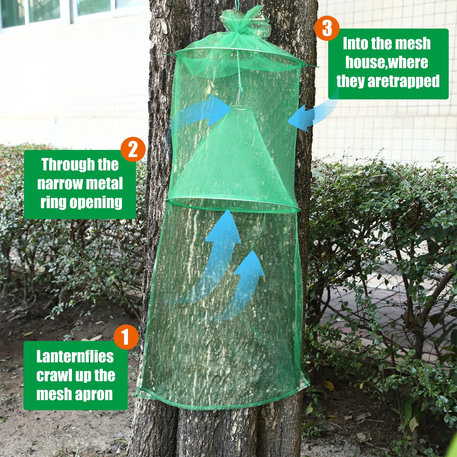 Qualirey lanternfly trap mesh design: breathable non-bait mesh catches insects safely.