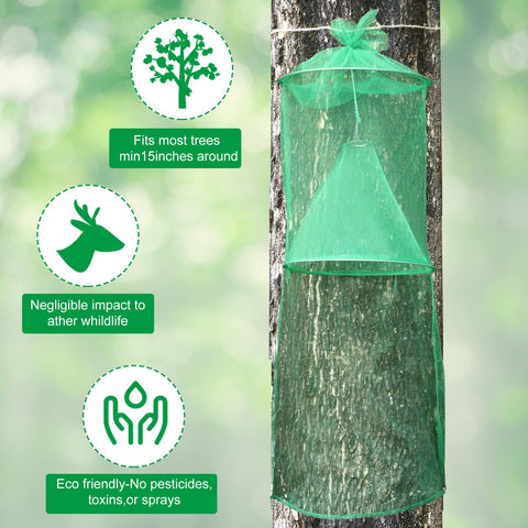 Qualirey lanternfly trap on-tree installed: blends with greenery while protecting trees.