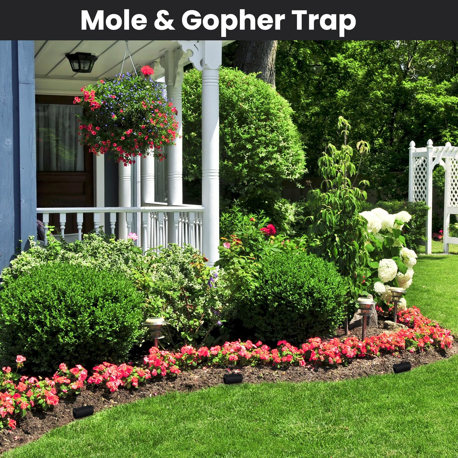 Qualirey Mole trap versatile for moles and small pests.