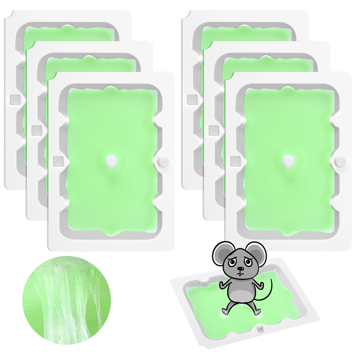 Qualirey 6-pack glue traps ready for setup, pre-scented and non-toxic.