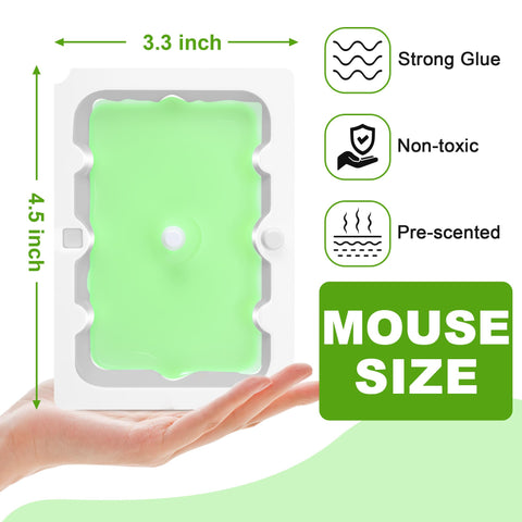 Qualirey glue trap adhesive close-up demonstrates strong grip for secure catches.