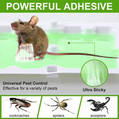 Qualirey high-contrast green surface enhances visibility for quick confirmation.