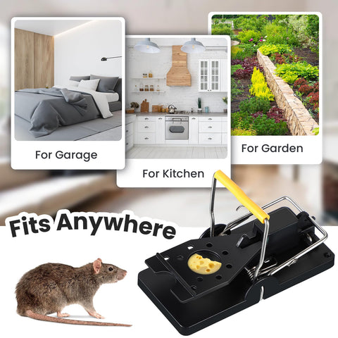 Qualirey mouse trap for indoor-outdoor use keeps kitchens, warehouses and gardens rodent-free