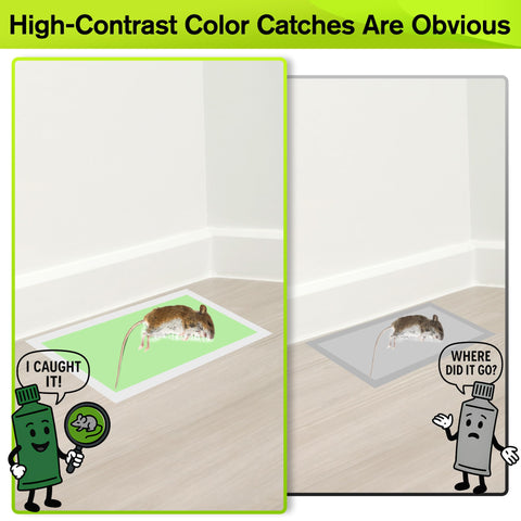 Qualirey multi-pest glue board catches mice, snakes, roaches, and spiders indoors