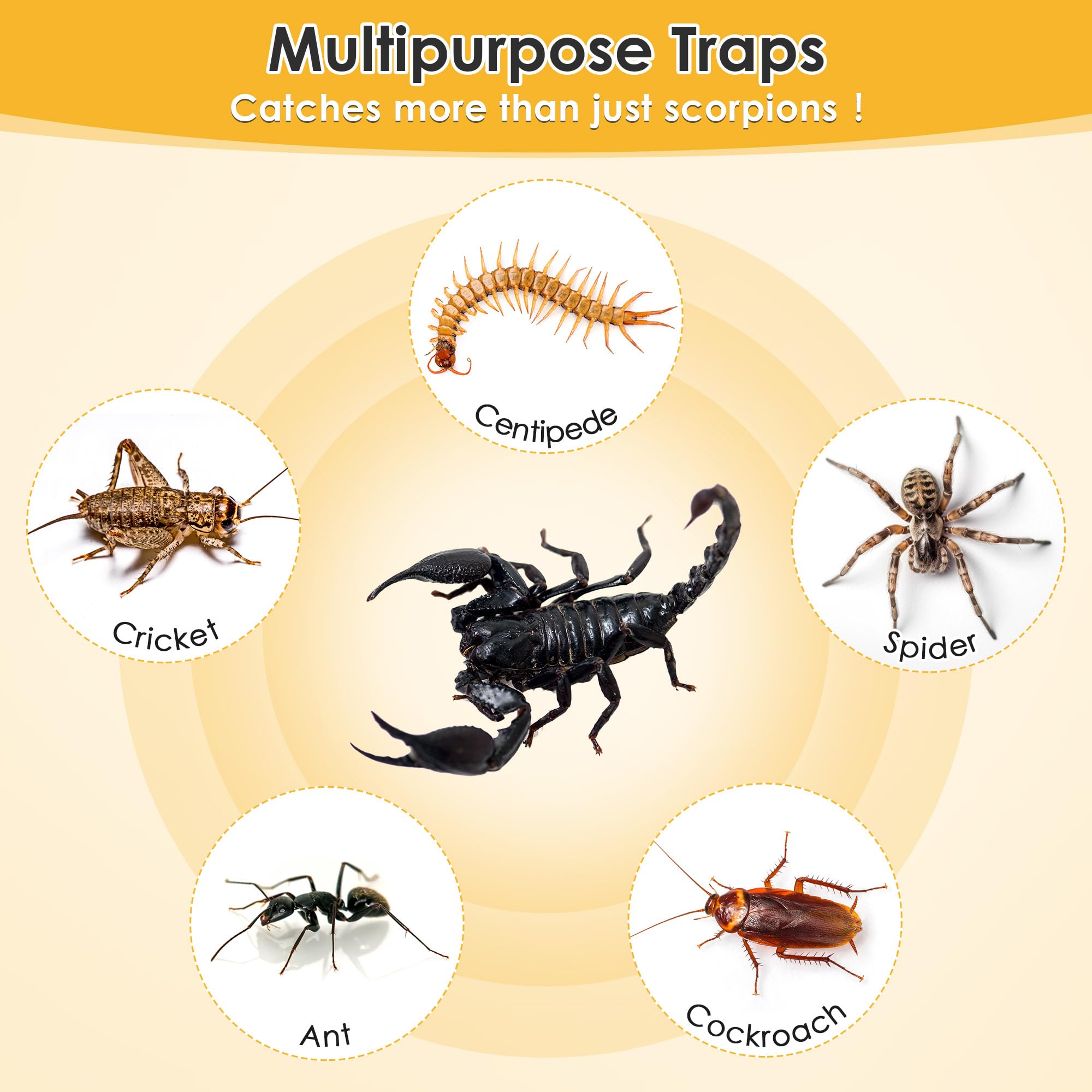 Qualirey multi-pest trap useful against spiders, ants, and cockroaches.