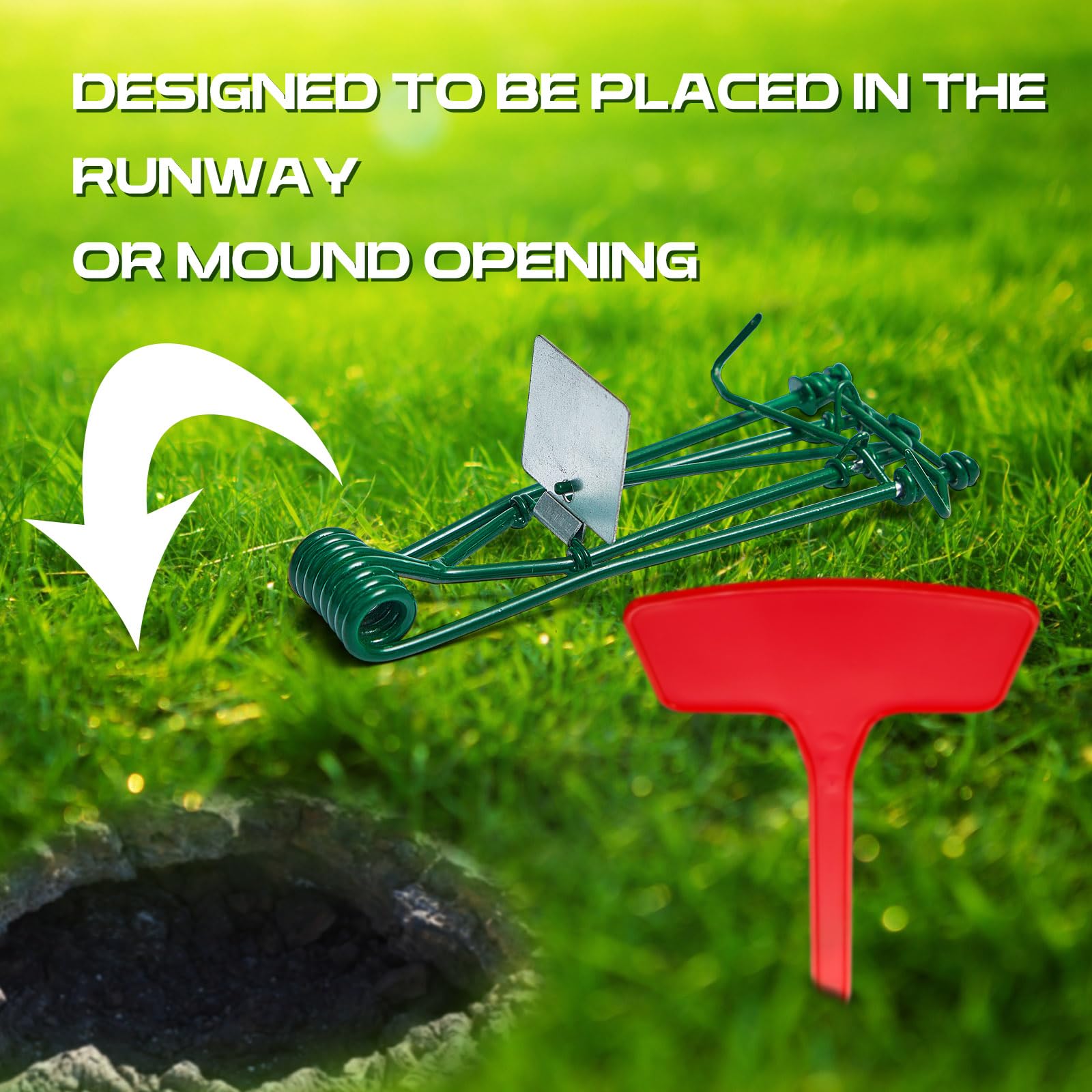 Qualirey no-bait design reduces exposure in outdoor spaces.