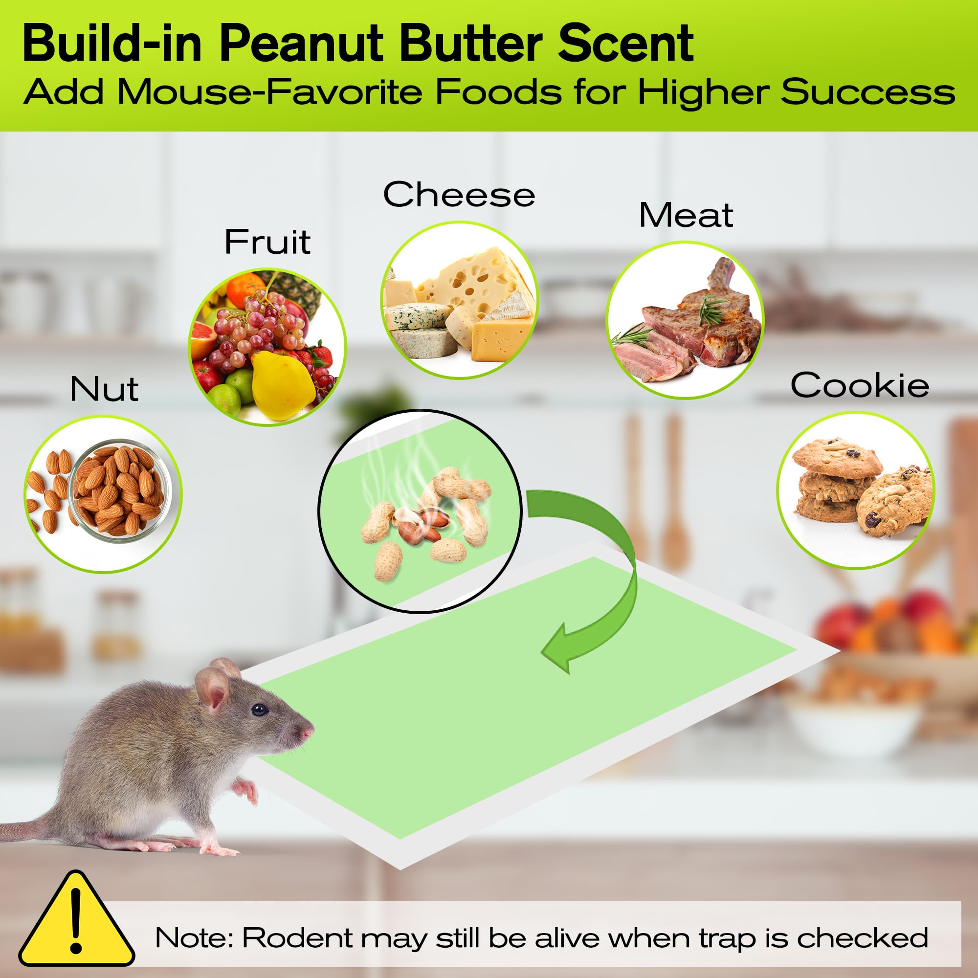 Qualirey non-toxic glue trap is safe around pets and children when used as directed