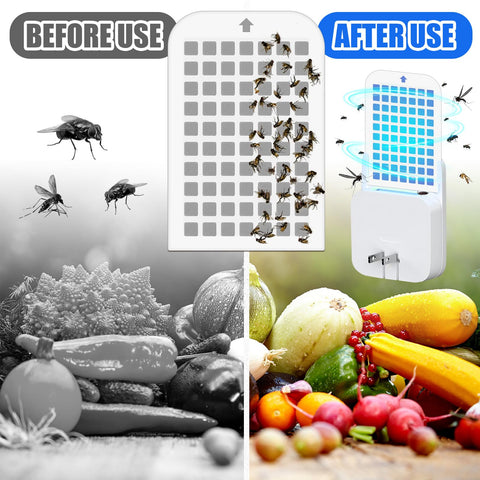 Qualirey non-toxic odorless refills safe for people and pets