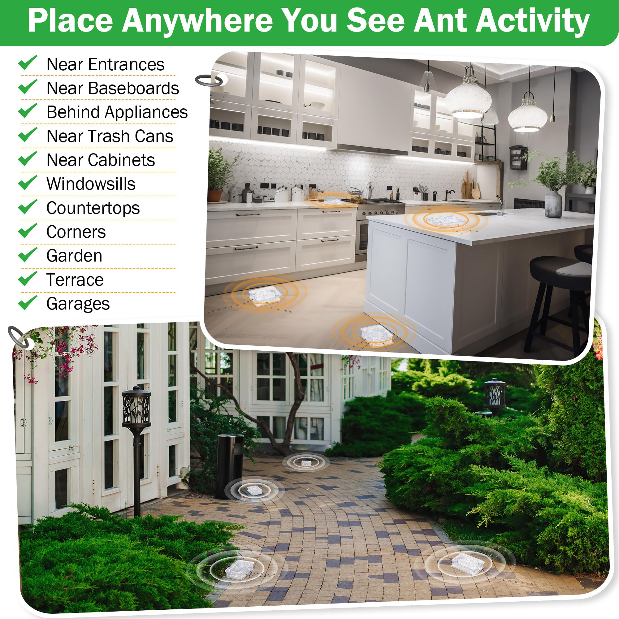Qualirey outdoor corner placement demonstrates durable, long-lasting ant control.