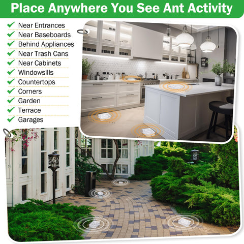 Qualirey outdoor corner placement demonstrates durable, long-lasting ant control.