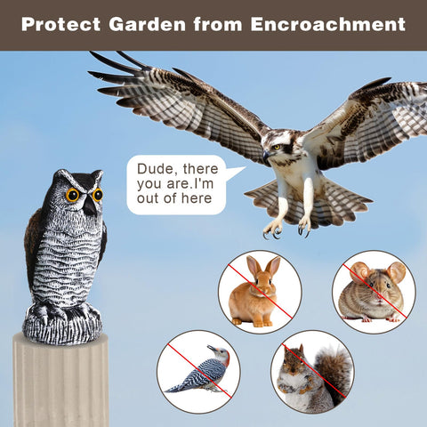 Qualirey owl decoy with anchor base for easy stake installation