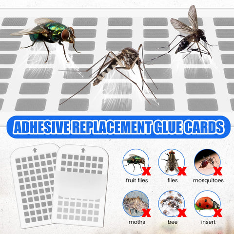 Qualirey plug-in insect trap ready for indoor installation