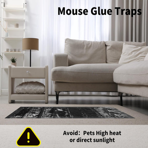 Qualirey pre-baited pest trap kit for indoor use.