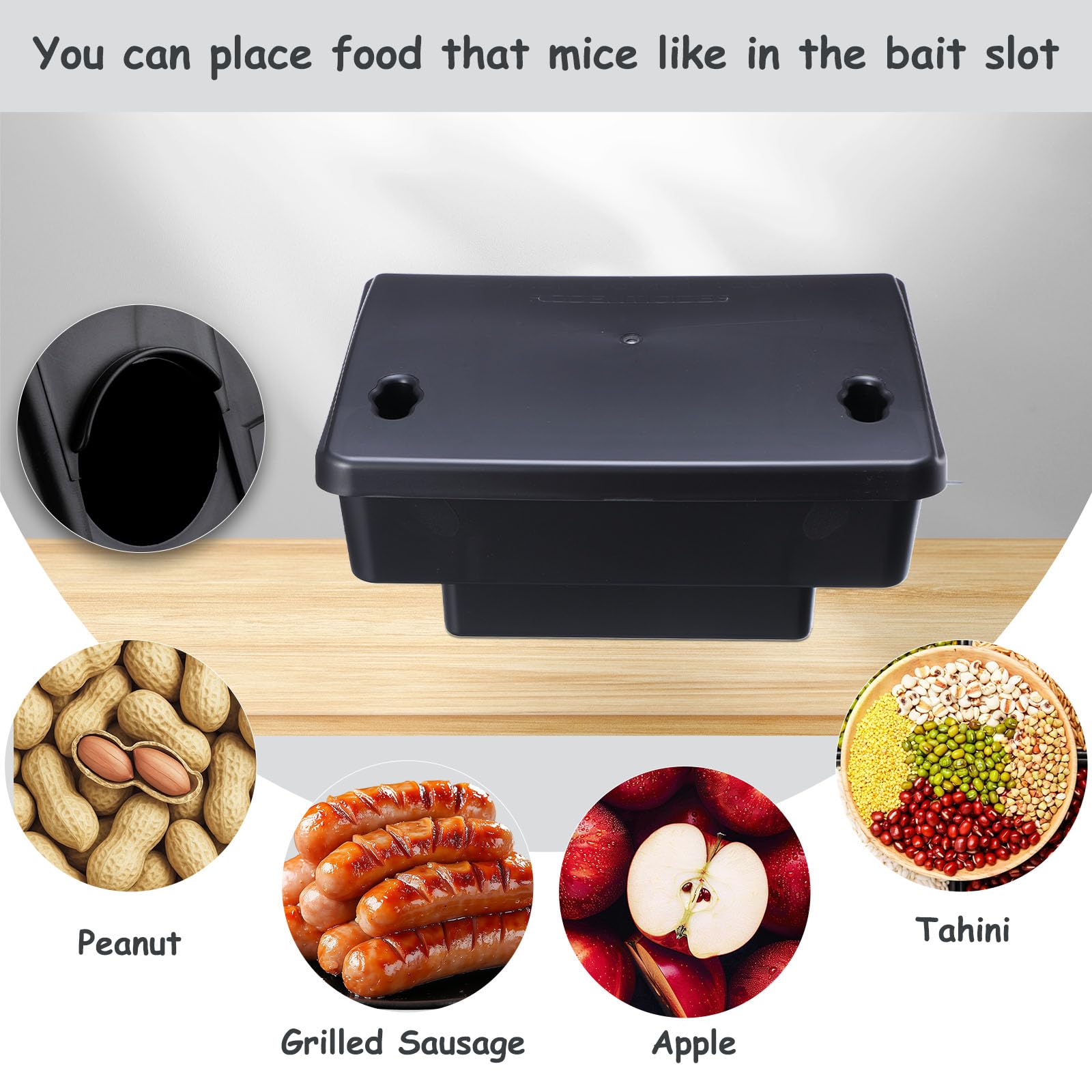 Qualirey rat station suitable for indoor and outdoor placement.