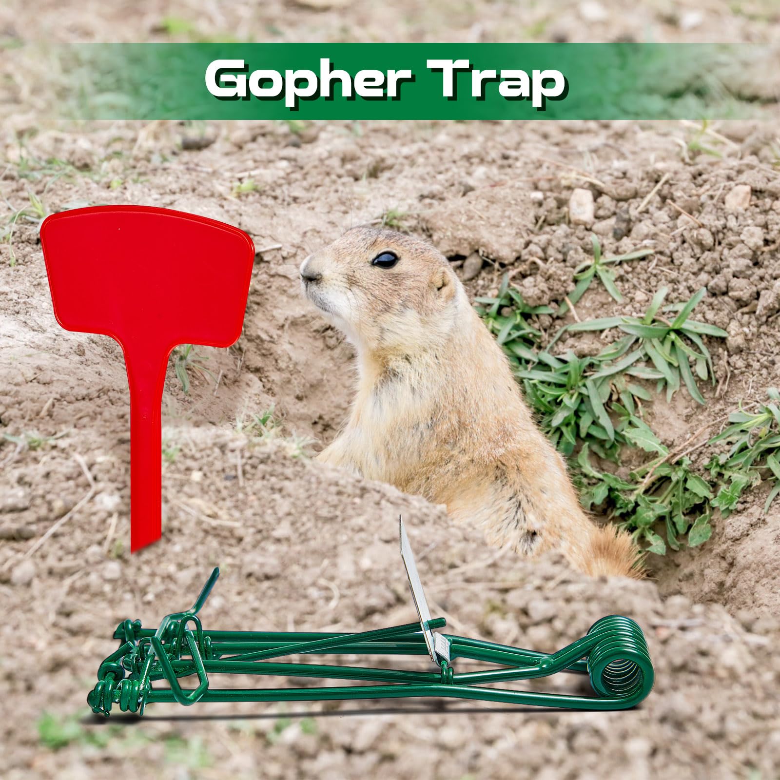Qualirey red T-type labels included with traps.