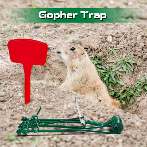 Qualirey red T-type labels included with traps.