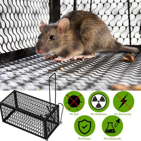 Qualirey release area promotes humane relocation away from home.