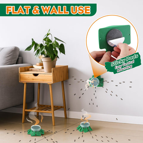 Reusable indoor ant traps that are easy to clean and refill.