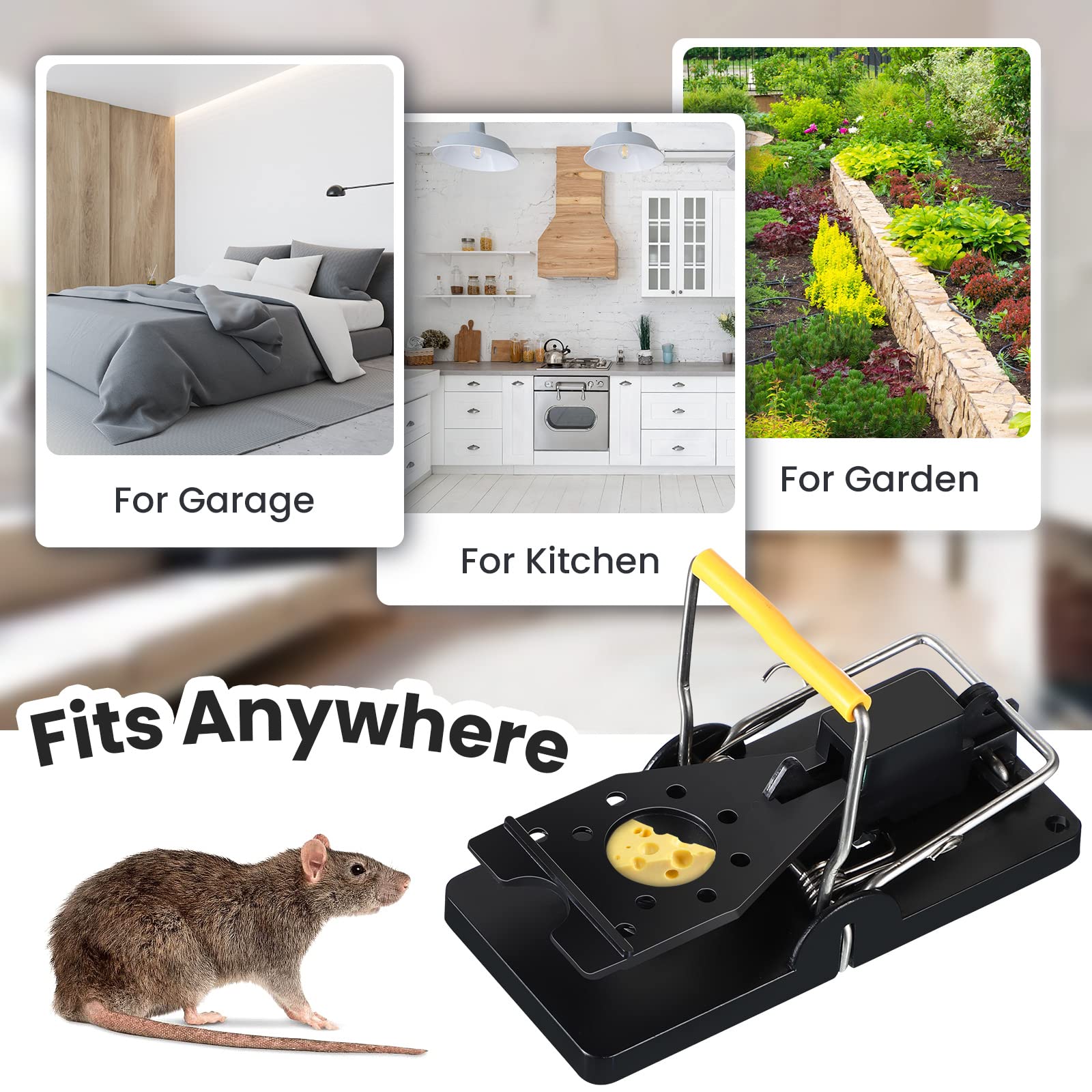 Qualirey reusable mouse trap in black yellow for low odor and easy handling