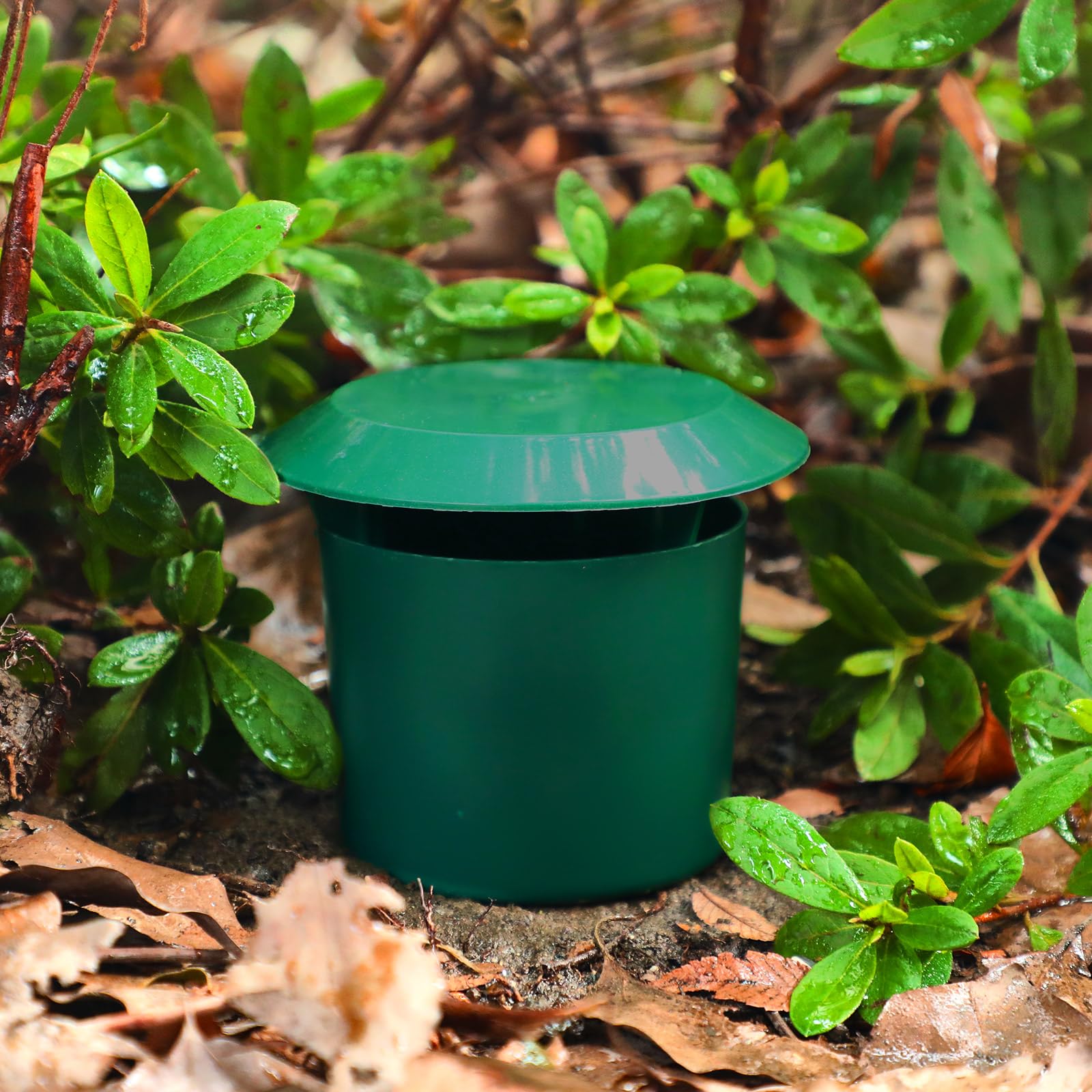 Qualirey reusable snail trap offers long-term crop protection.