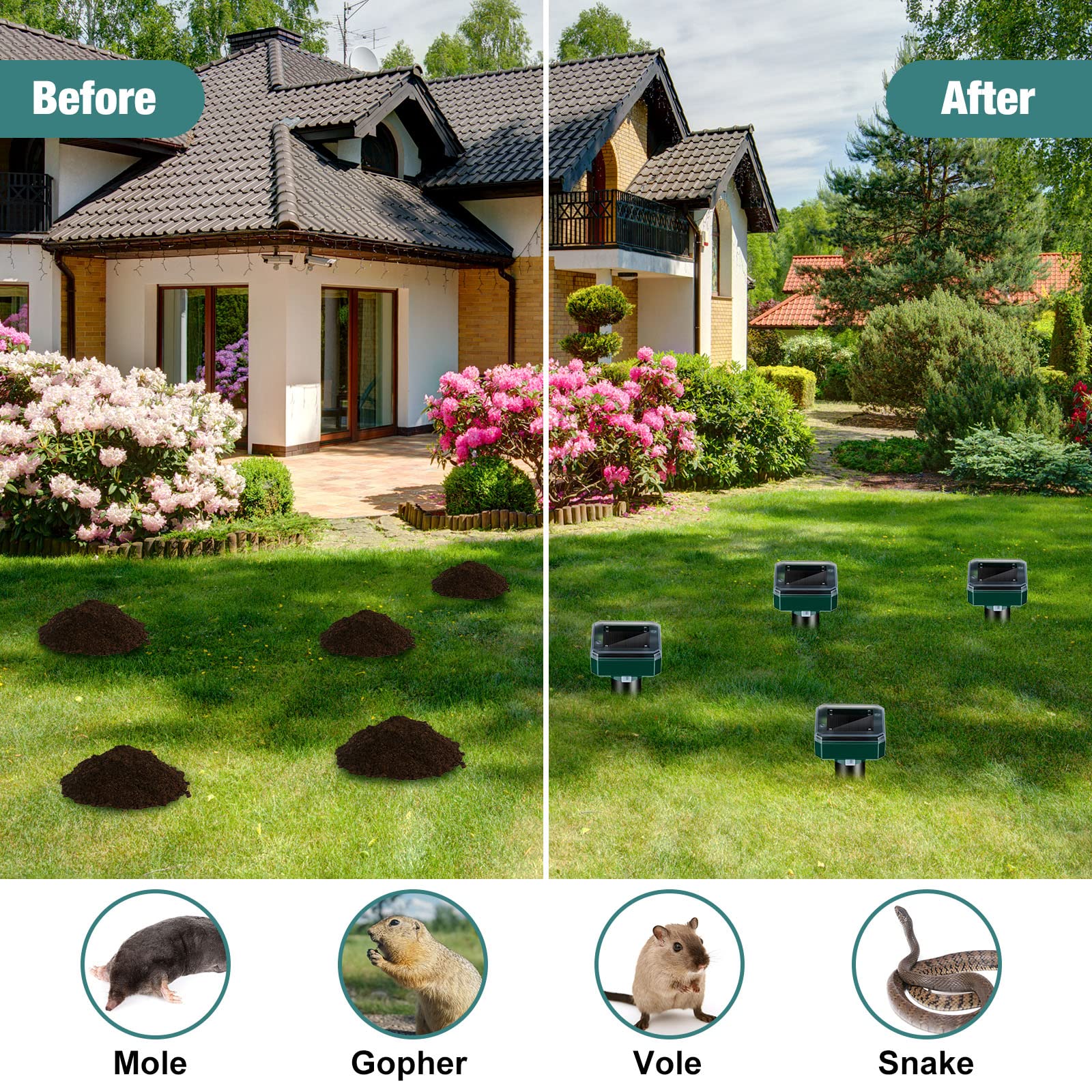 Qualirey kid-safe design makes yard pest deterrent suitable for families