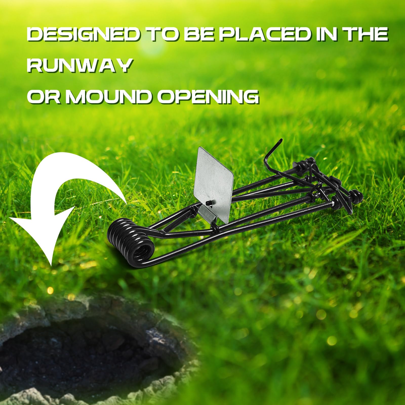 Qualirey trap keeps kids and pets safe with underground placement.