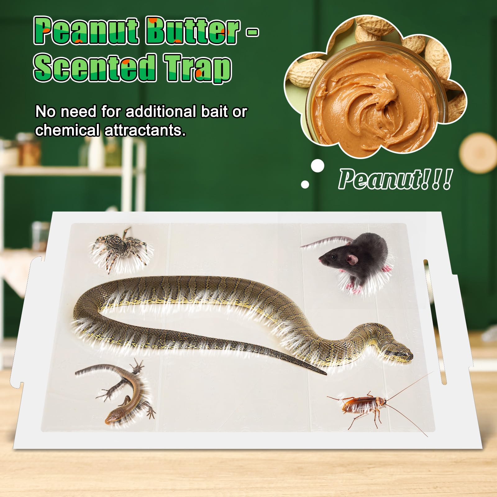 Qualirey non-toxic adhesive traps safely for homes with kids and pets.