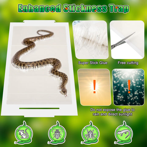 Qualirey weather-resistant trap maintains adhesion in sun and rain.