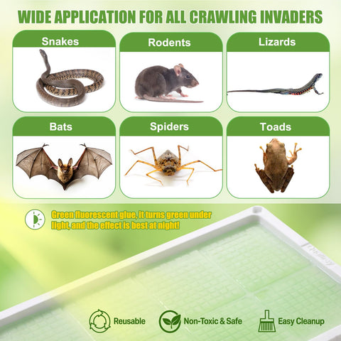 Qualirey snake trap glow-in-dark visibility for nighttime monitoring