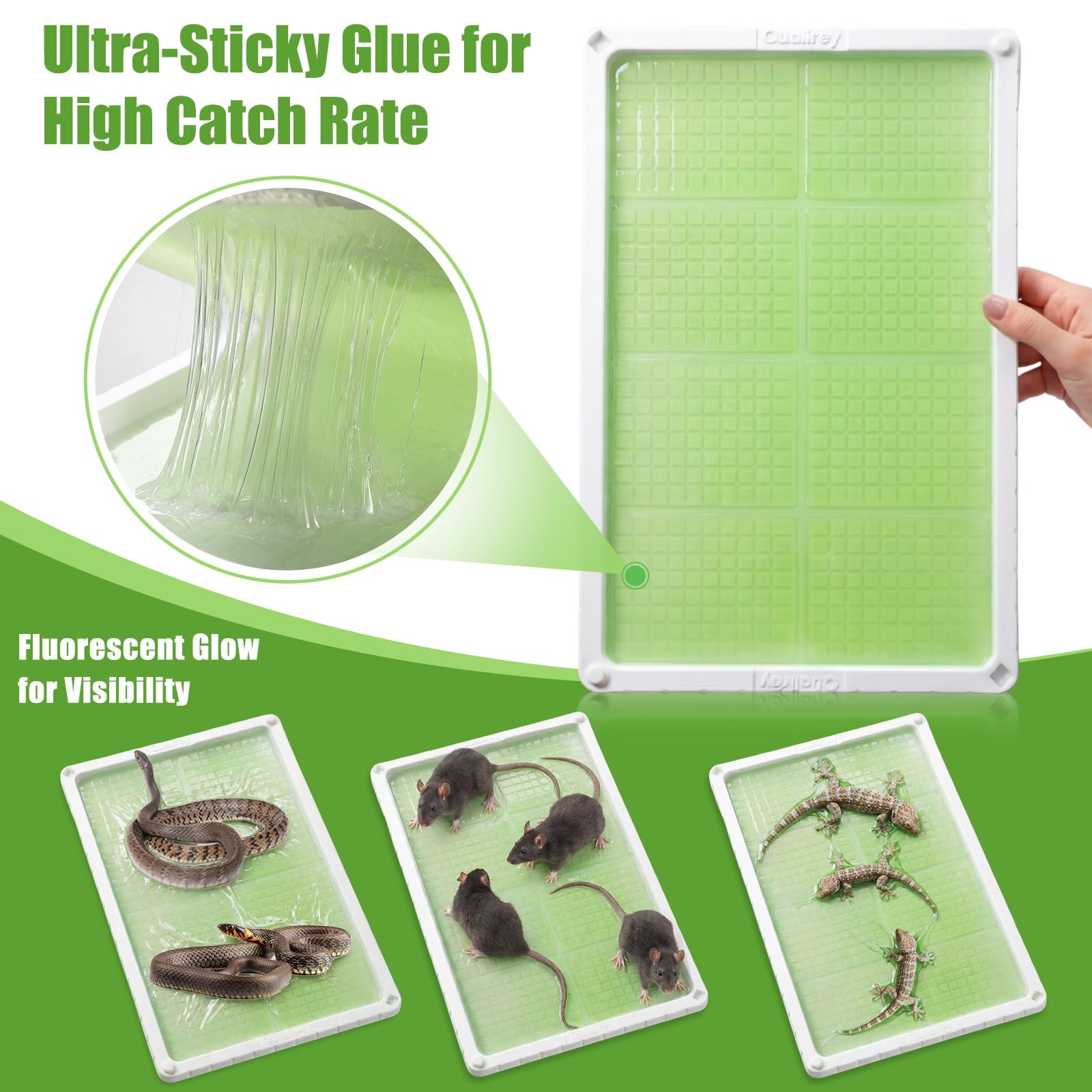 Qualirey trap ready-to-use, no bait required