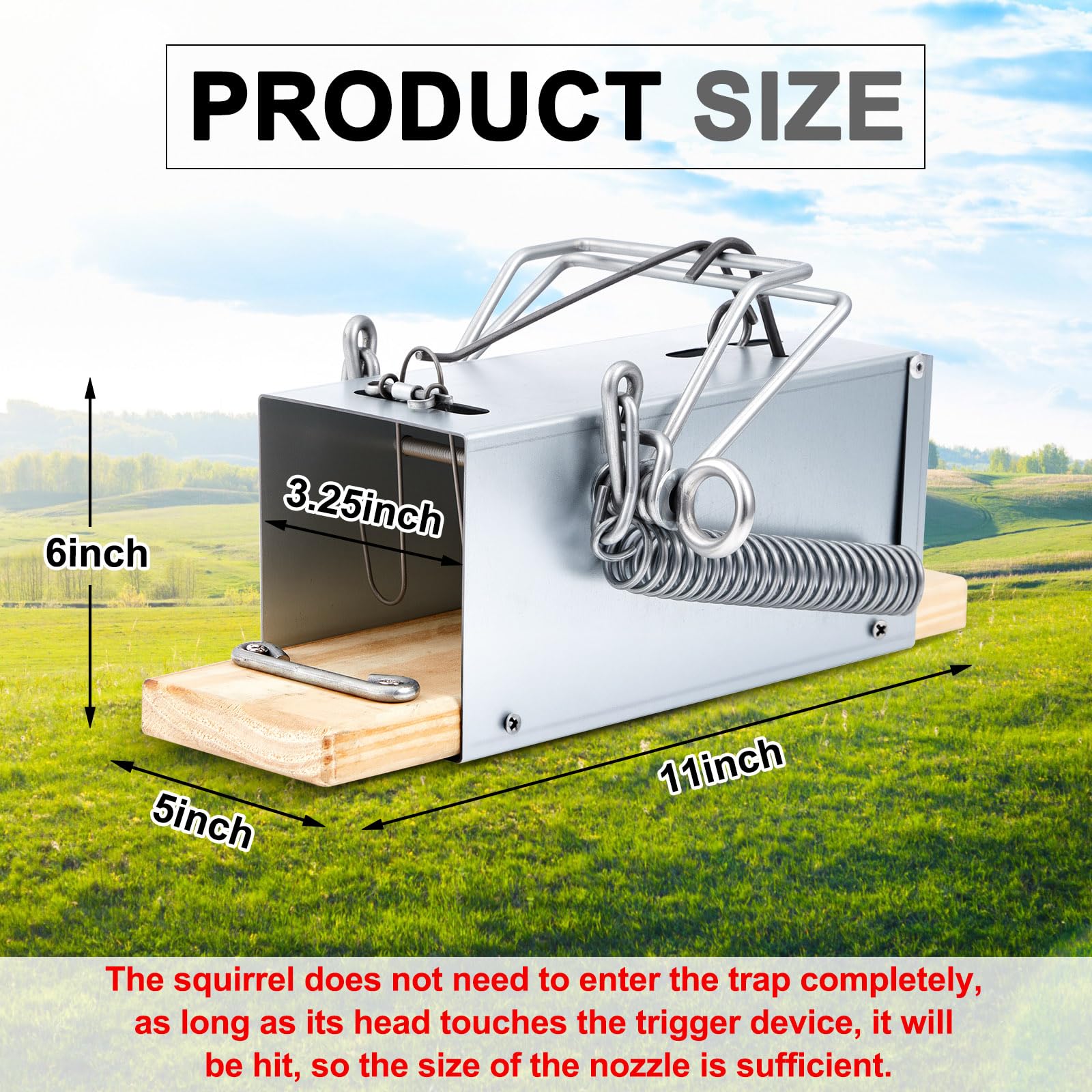 Qualirey Squirrel Trap with galvanized frame showing weather resistance