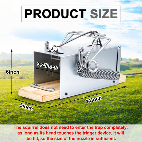 Qualirey Squirrel Trap with galvanized frame showing weather resistance