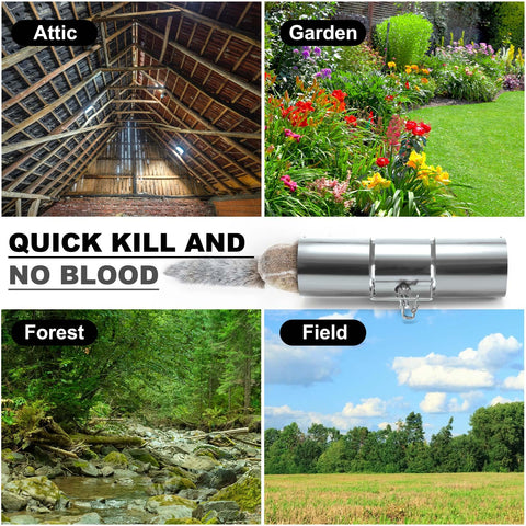 Qualirey squirrel trap suitable for outdoor use in yards and gardens