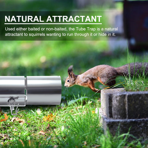Qualirey squirrel trap rust-resistant stainless steel for durability