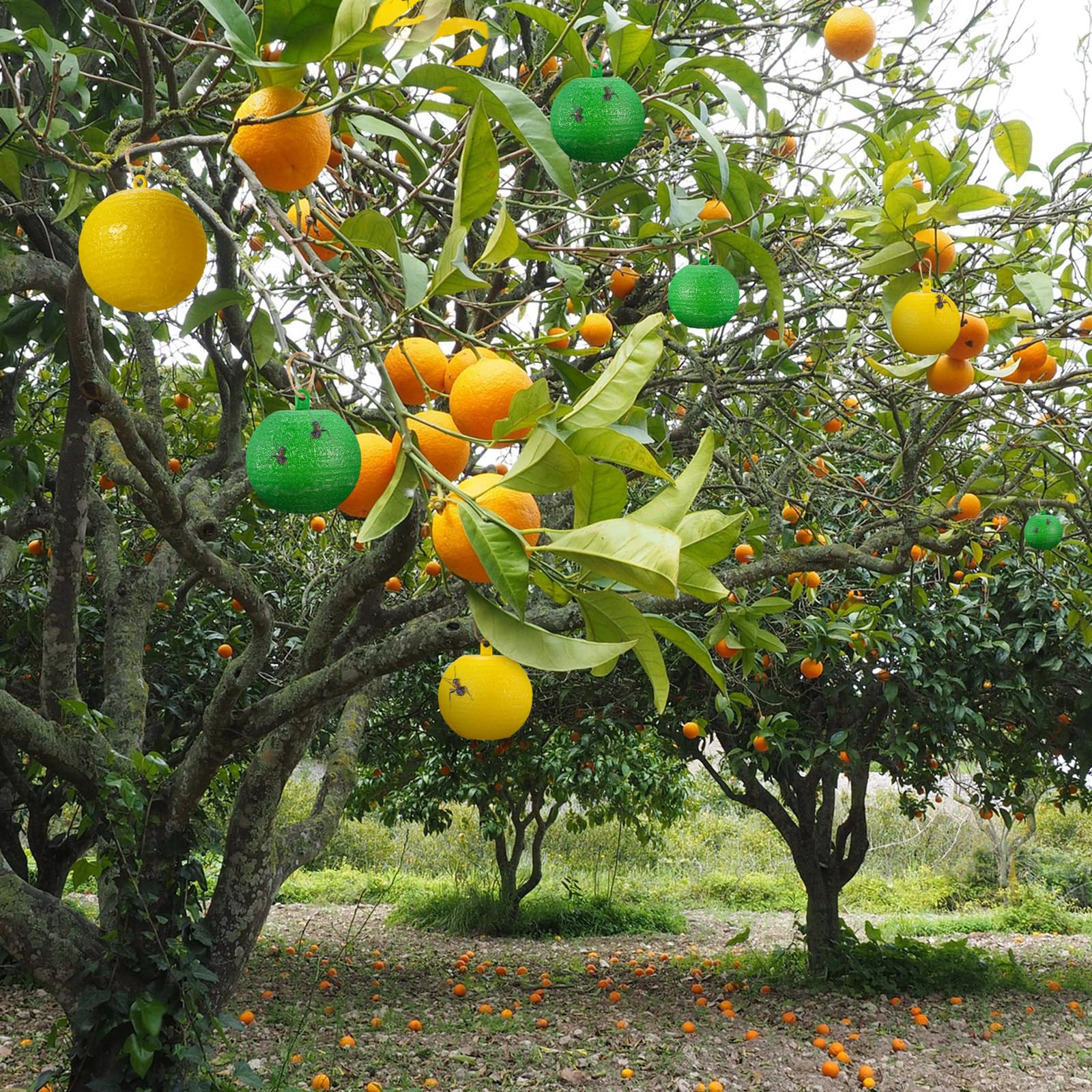 Qualirey sticky fruit fly trap ball yellow provides 360-degree adhesive coverage.