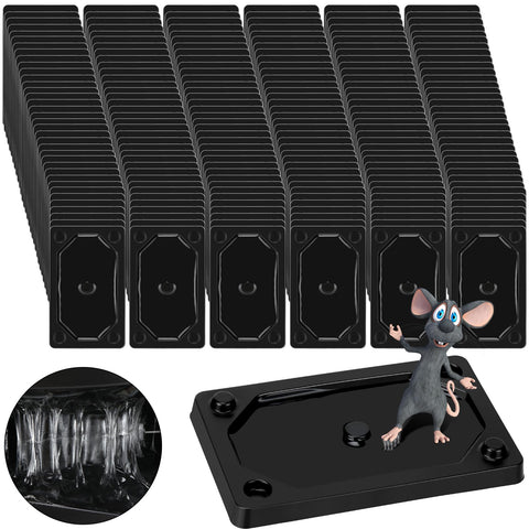 Qualirey sticky mouse board setup shows adhesive trap ready for use in your home