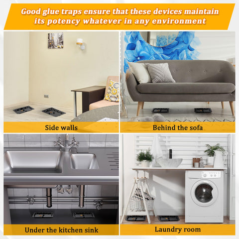 Qualirey glue trap remains effective in wet areas for long-term use.