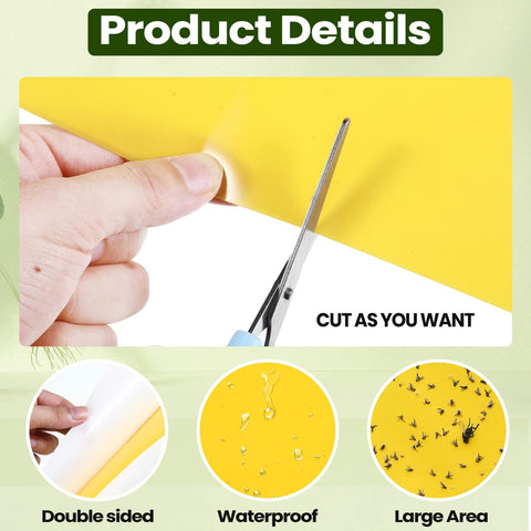 Qualirey yellow traps used in garden for fruit fly control.